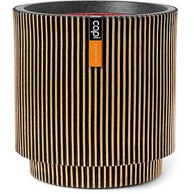 Capi Europe Groove NL 44x46cm