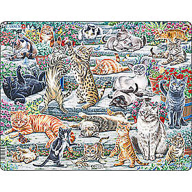 Platepusle Maxi Cats