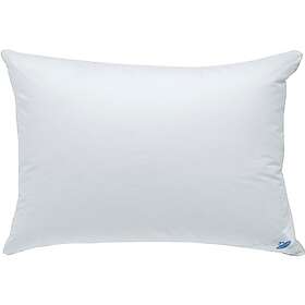 Drouault Tibet Oreiller 45x70cm TIBET-OREILLER-4570