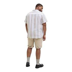 Jack & Jones Dave Chinoshorts Regular Fit With Zip Fly Shorts (Herre)