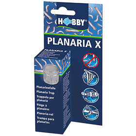 HOBBY Planaria X