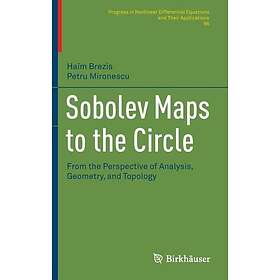 Sobolev Maps to the Circle Innbundet