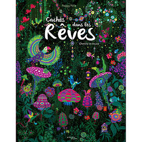 Cachés dans les rêves Paperback