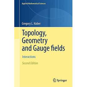 Topology, Geometry and Gauge fields Inbunden