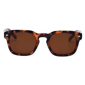 I-sea Blair 2.0 Polarized
