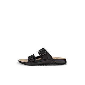 Ecco Cozmo (Dam)