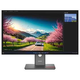 Lenovo ThinkVision P32UD-40 31.5" IPS WQHD 60Hz