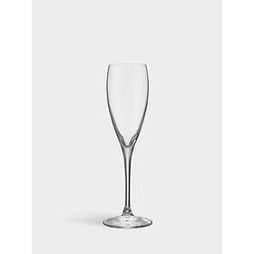 Orrefors More Cognacglas 33cl 4-pack