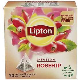 Lipton Nype Te 20-Pack