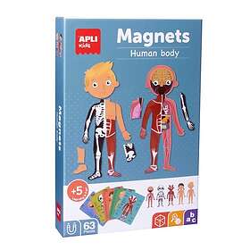 Apli Human Body Magnet Toy 18531