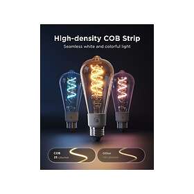 Govee M14C0CC2 Smart Edison RGBWW E27