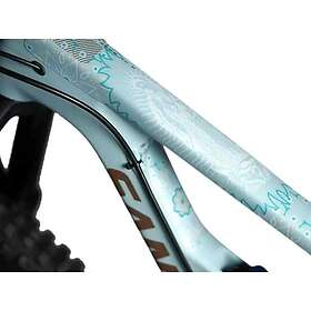 Dyedbro Guadalupe Frame Guard Stickers DBF11175