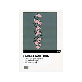 EMO Kartong A4 270g 35 rosa (10)