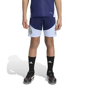 Adidas Ajax Amsterdam Träningsshorts (Jr)