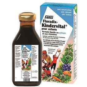 Salus Floradix Kindervital For Children Fruity Formula 250ml
