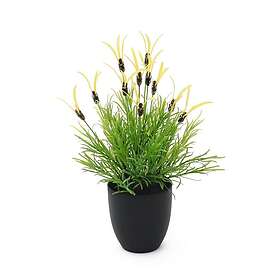 Europalms Federlattich 40cm 82505639
