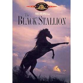 The Black Stallion (US) (DVD)