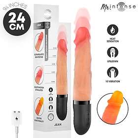 Mr Jean Up & Down Vibrator 24cm