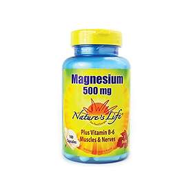 Nature's Life Magnesium 500mg 100 Capsules