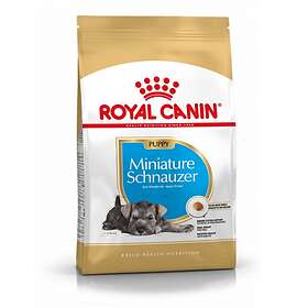 Royal Canin BHN Miniature Schnauzer Puppy 1,5kg