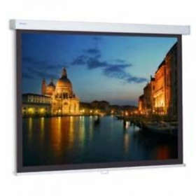 Projecta ProScreen CSR Manual Matte White NB 1:1 111" (200x200)