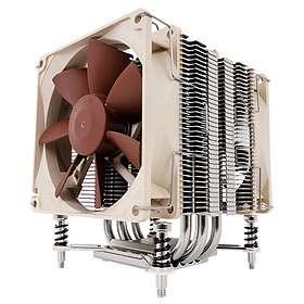 Noctua