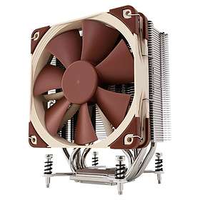 Noctua