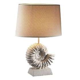 David Hunt AMM43 Ammonite