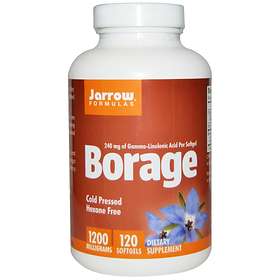 Jarrow Formulas Borage GLA-240 240mg 120 Kapselit