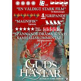 Guds Hästar (DVD)