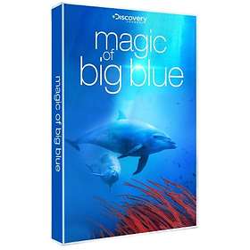 Magic of the Big Blue (3D)