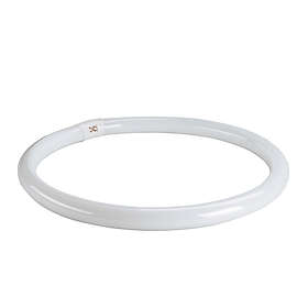 SLV T8 Ring 3000K G10q 40W