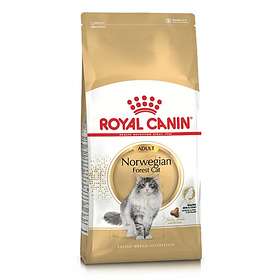 Royal Canin Breed Norwegian Forest Cat 10kg