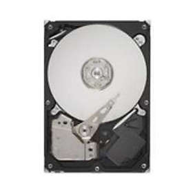 IBM 04Y1093 500GB