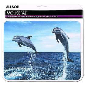 Allsop Flying Dolphins