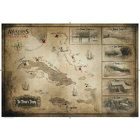 Assassin's Creed IV: Black Flag - Special Edition (PS4)