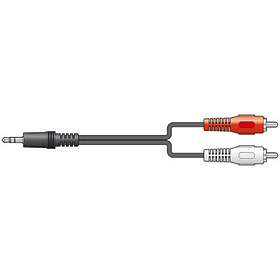 2RCA-3.5mm