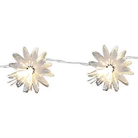 Star Trading Fiber Flower 10L