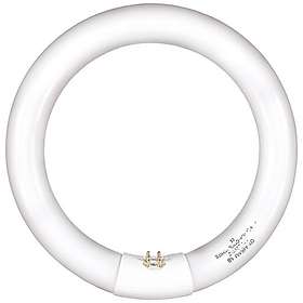 Airam T9 2700lm 4000K G10q 40W