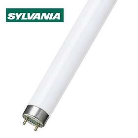 Sylvania T8 Luxline Plus Special Length 830 950lm 3000K G13 15W