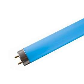 Osram Colored T5 HE 500lm Blue G5 21W