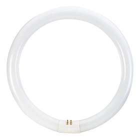 Bell Lighting Triphosphor Circular Tube - 4 Pin 3450lm 3000K G10q 40W
