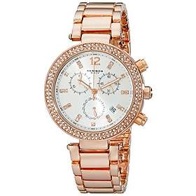 Akribos XXIV AK529RG