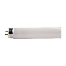 Fluorescent lamp