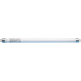 Fluorescent lamp