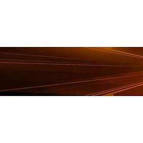 Haunted Hotel: Charles Dexter Ward - Collector's Edition (PC)