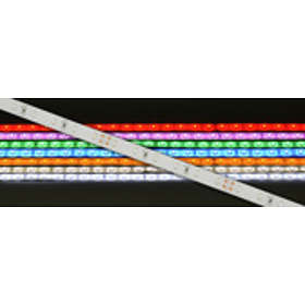 AVSL Group 24V Single Colour LED Tape Reel (5m)