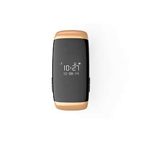 zebracelet 2