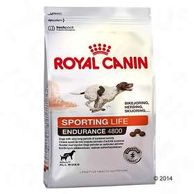 vedlægge Lover og forskrifter krone Royal Canin LHN Sporting Life Endurance 4800 15kg - Find den bedste pris på  Prisjagt