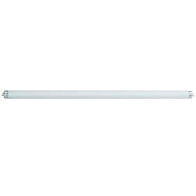 Osram Lumilux T8 3350lm 3000K G13 36W